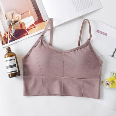 Seamless Sports Bra (Without Steel Ring ) - Be Luscious